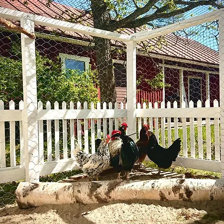 Herkkumaeen Navetta *